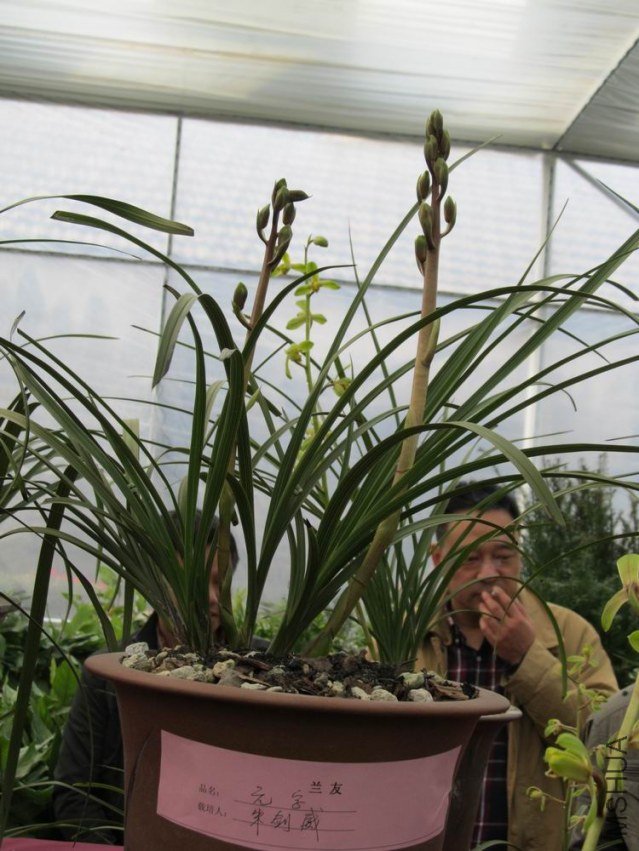 ������С ��ת IMG_1843.JPG