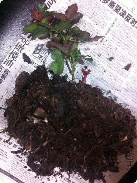 1��3�ջ����ʱ���Ǻ�С�ġ�����ͱ����ˡ�