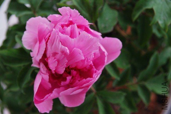 20130330001.jpg