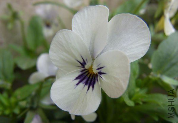 RIMG0470����.jpg