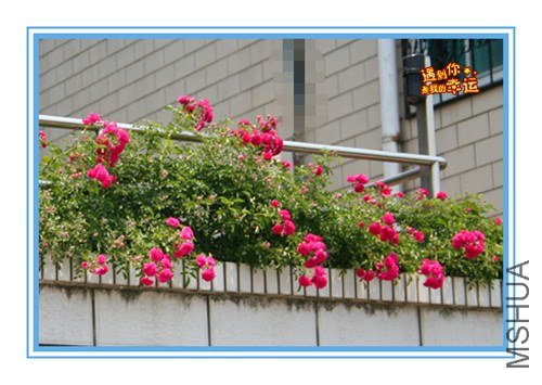 ��Ƭ 030_����.jpg