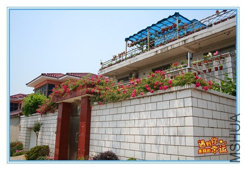 ��Ƭ 010_����.jpg