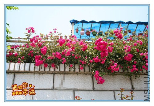 ��Ƭ 015_����.jpg