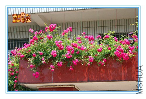 ��Ƭ 028_����.jpg