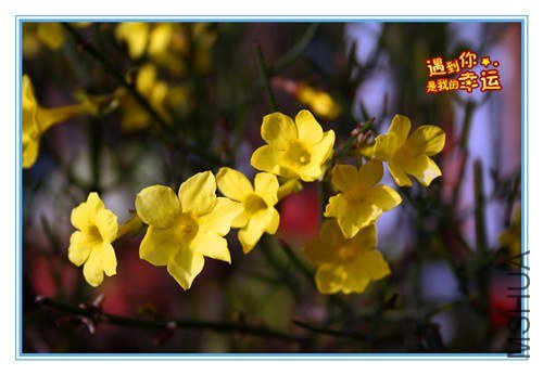 ��Ƭ 003_����.jpg