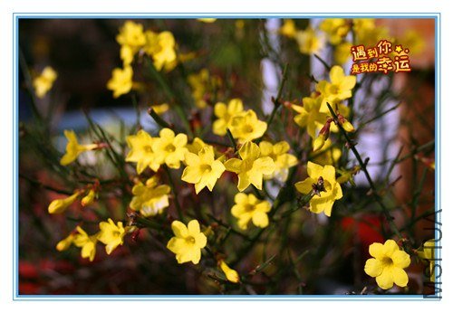 ��Ƭ 002_����.jpg