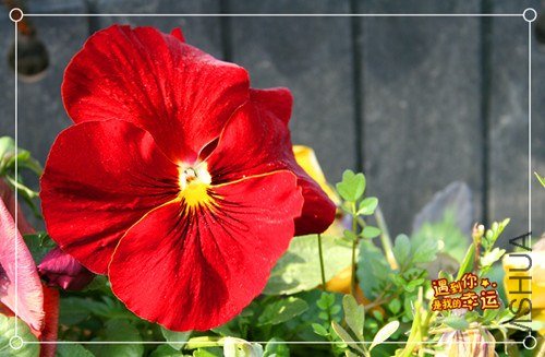 ��Ƭ 063_����.jpg