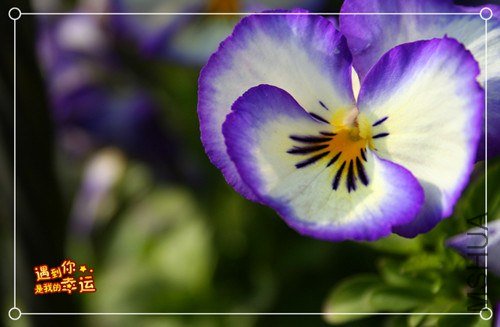 ��Ƭ 060_����.jpg