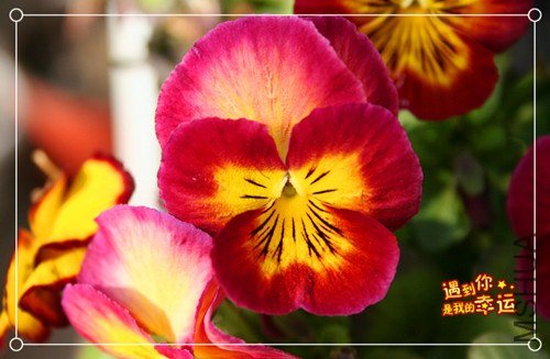 ��Ƭ 061_����.jpg