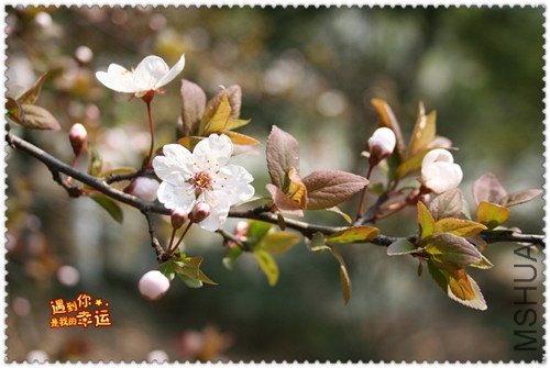 ��Ƭ 234_����.jpg