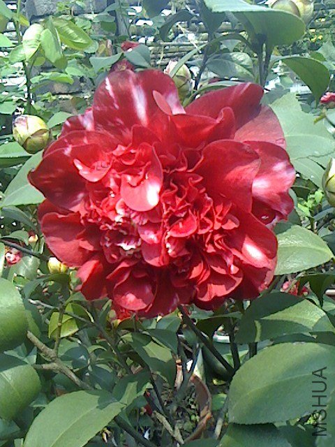 IMG0319130700.jpg