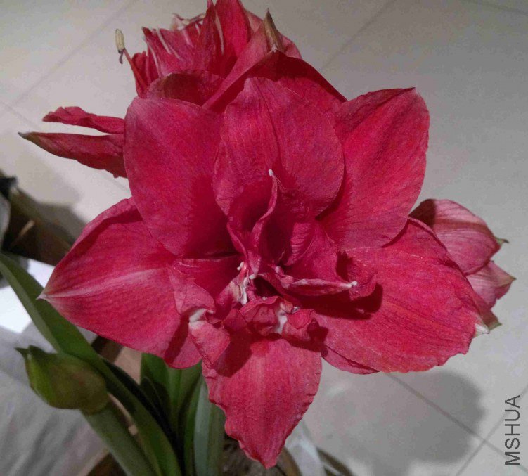 2013-03-26-399.jpg