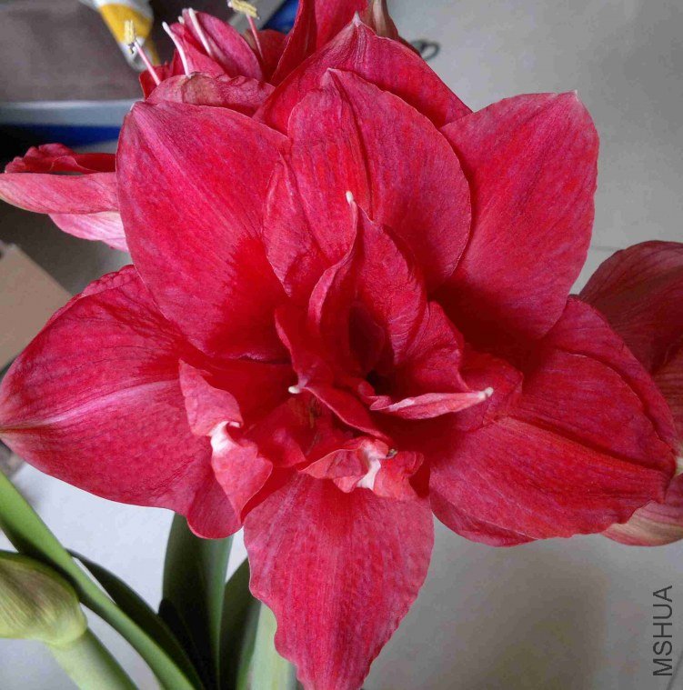 2013-03-27-401.jpg