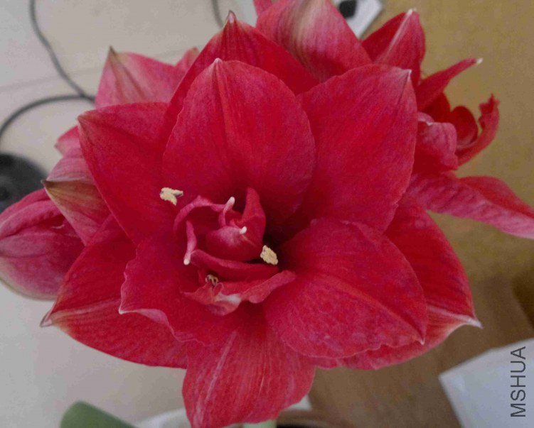 2013-03-27-403.jpg