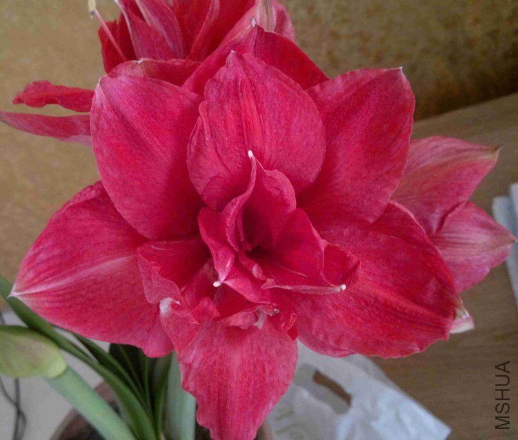 2013-03-27-405.jpg