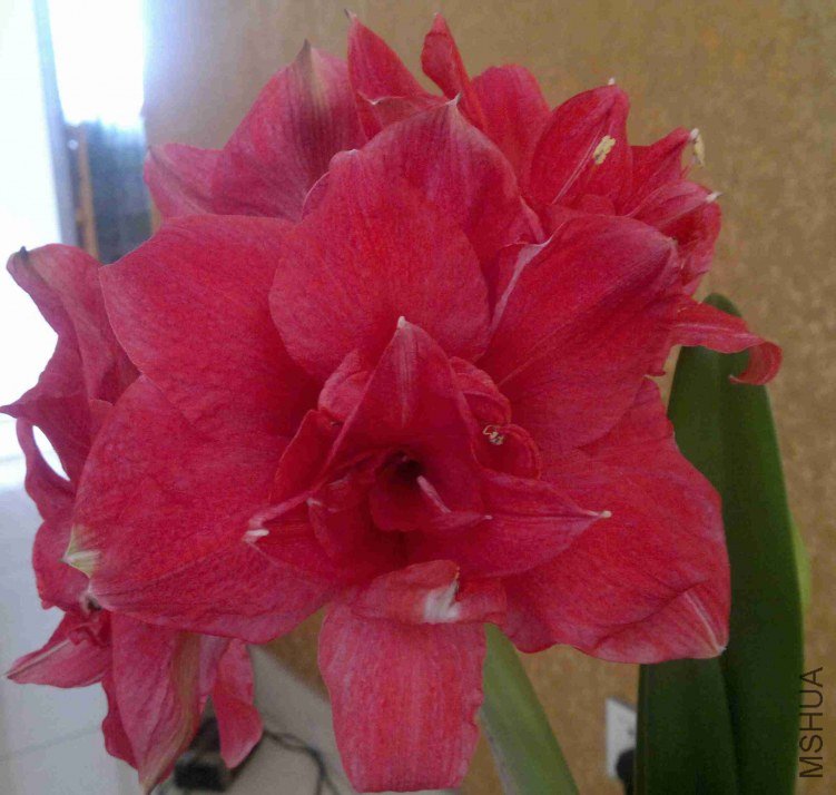 2013-03-30-416.jpg