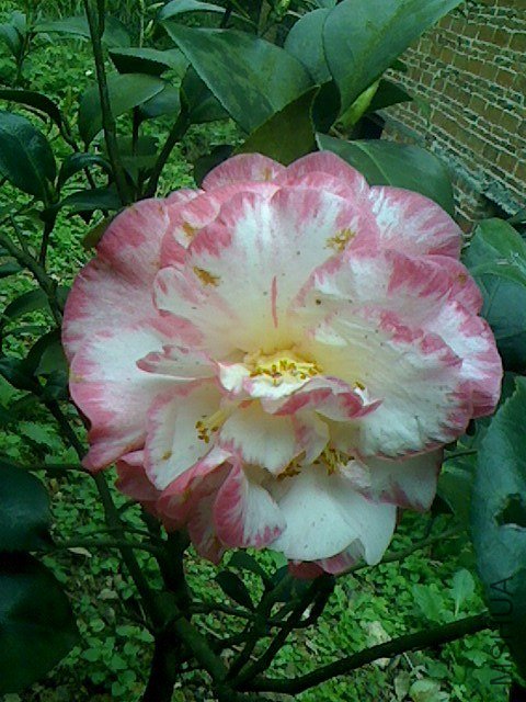 IMG0324153500.jpg