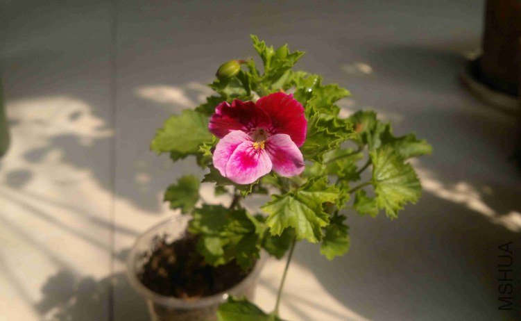 2013-03-30-407.jpg