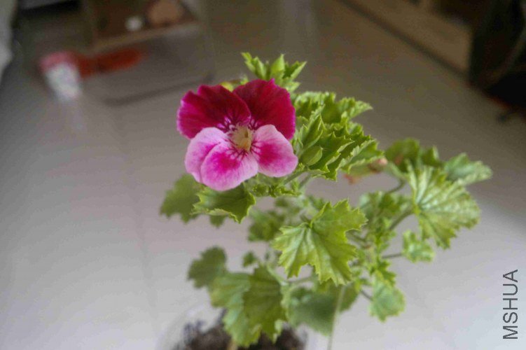 2013-03-30-410.jpg