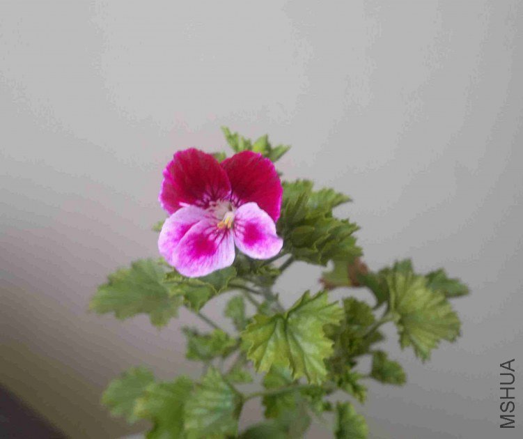 2013-03-30-420.jpg