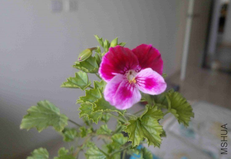 2013-03-30-421.jpg
