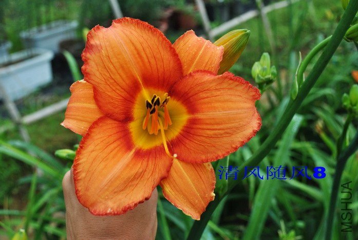 F1-308���� (3).jpg