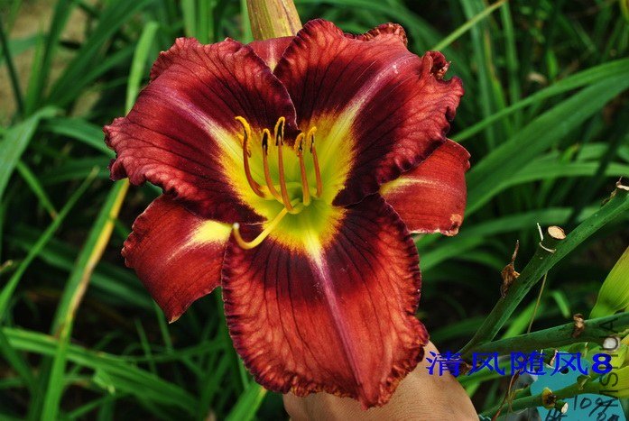 F1-574�ʵ� (1).jpg