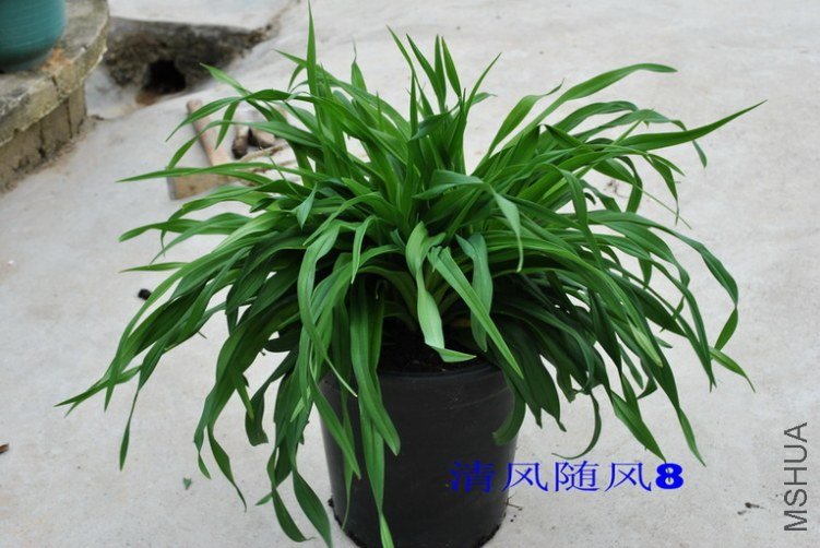 ������Ʒ (2).jpg