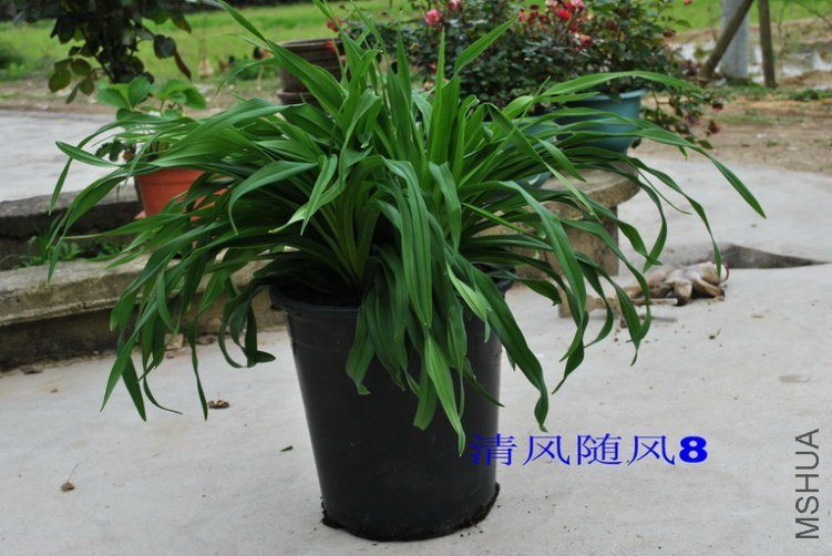 ������Ʒ (1).jpg