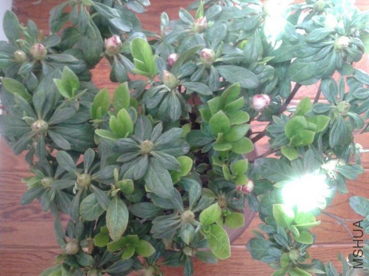 2013-03-31 10.29.02(2).JPG