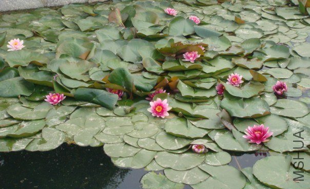 ȥ�����쿪�ģ��г�����ˬ��