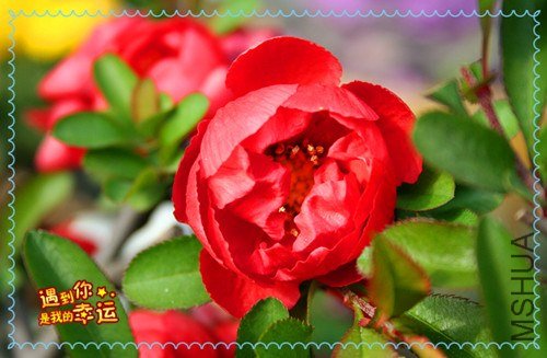 ��Ƭ 083_����.jpg