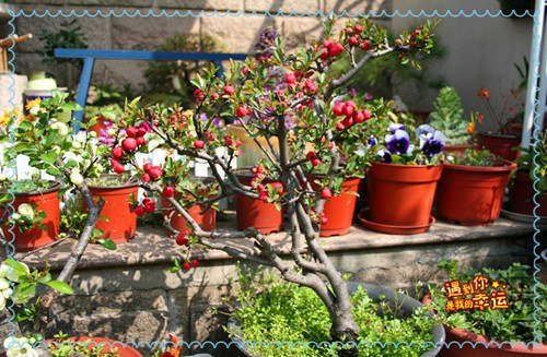 ��Ƭ 076_����.jpg