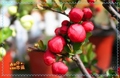 ��Ƭ 077_����.jpg