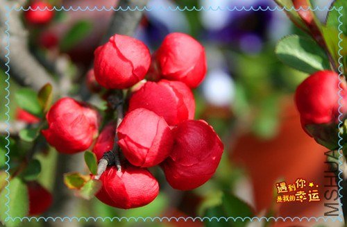 ��Ƭ 078_����.jpg