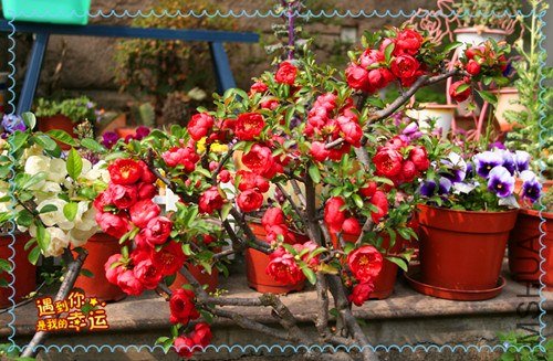 ��Ƭ 080_����.jpg