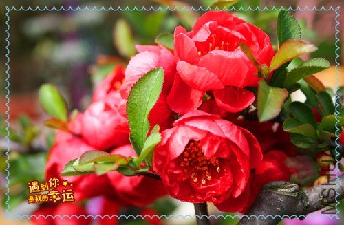 ��Ƭ 081_����.jpg