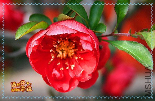 ��Ƭ 082_����.jpg