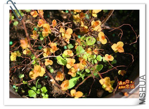 ��Ƭ 027_����.jpg