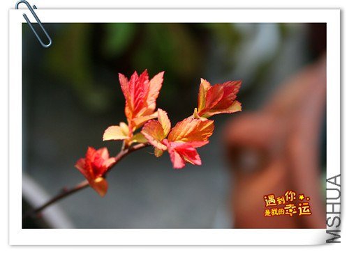 ��Ƭ 025_����.jpg