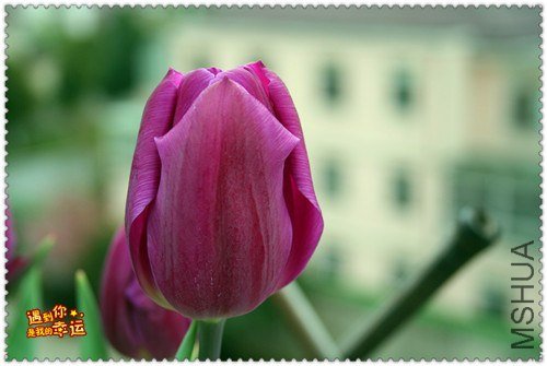 ��Ƭ 013_����.jpg