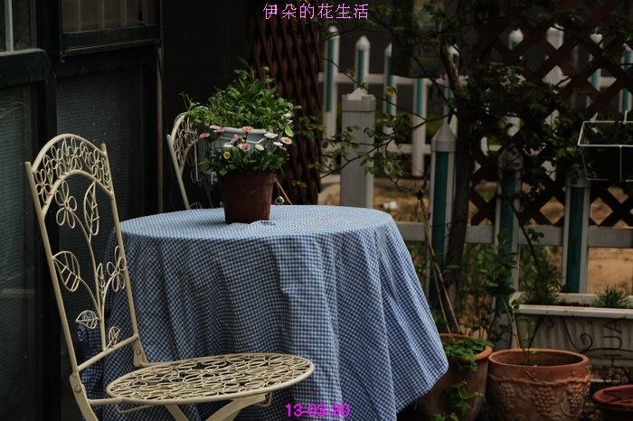 nEO_IMG_��Ƭ 037.jpg