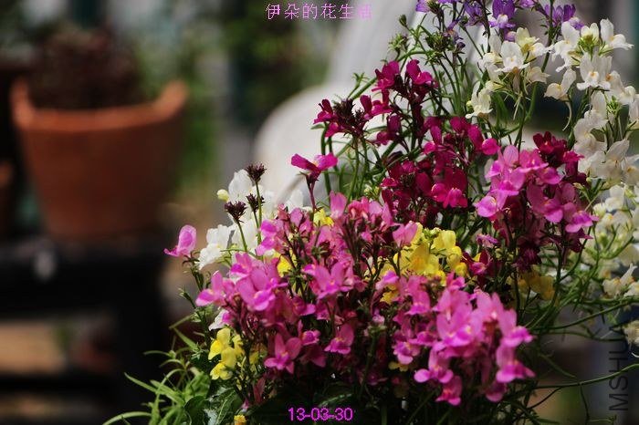 nEO_IMG_��Ƭ 033.jpg