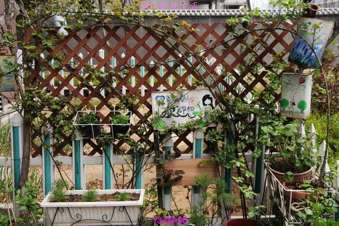 nEO_IMG_��Ƭ 038.jpg