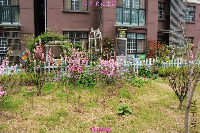 nEO_IMG_��Ƭ 058.jpg