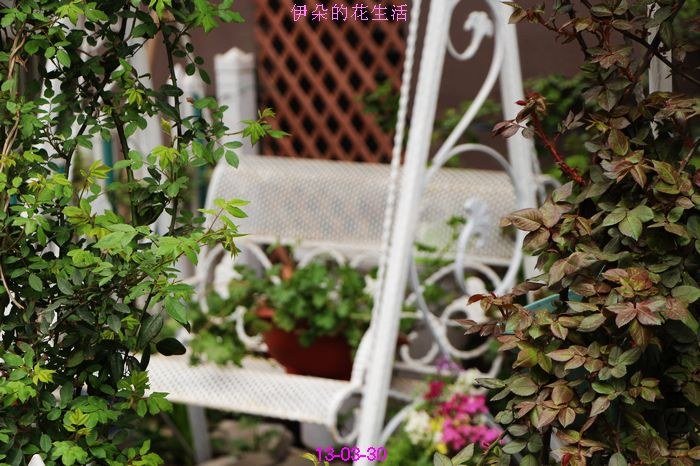 nEO_IMG_��Ƭ 046.jpg