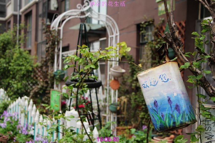 nEO_IMG_��Ƭ 061.jpg