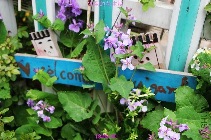 nEO_IMG_��Ƭ 050.jpg