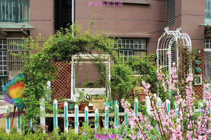 nEO_IMG_��Ƭ 051.jpg