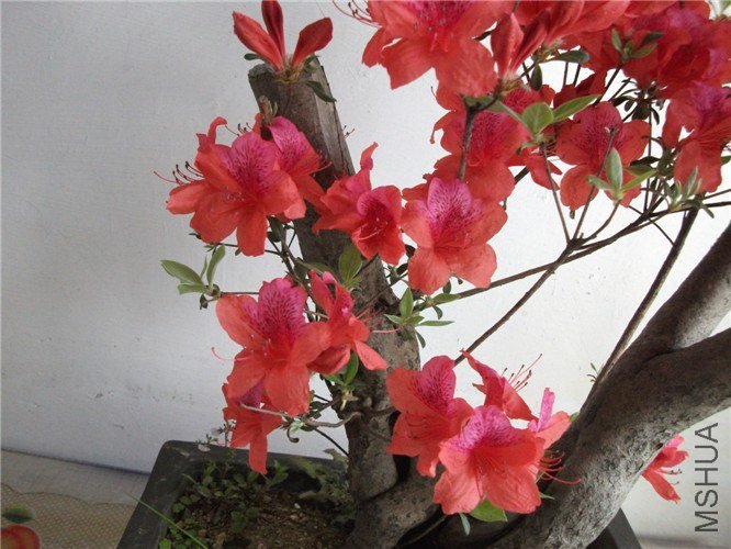��Ƭ 057.jpg